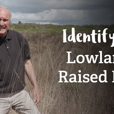 Lowland Raised Bog | Habitat Mapping Project | Nature Recovery Network