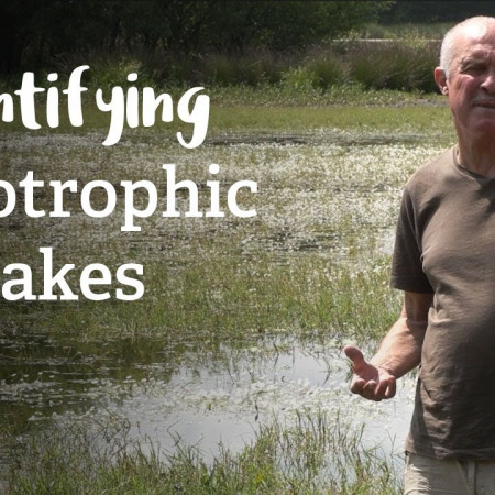 Mesotrophic Lakes | Habitat Mapping Project | Nature Recovery Network