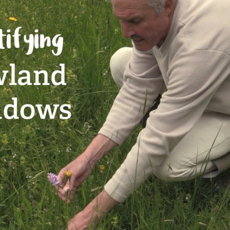 Lowland Meadows | Habitat Mapping Project | Nature Recovery Network