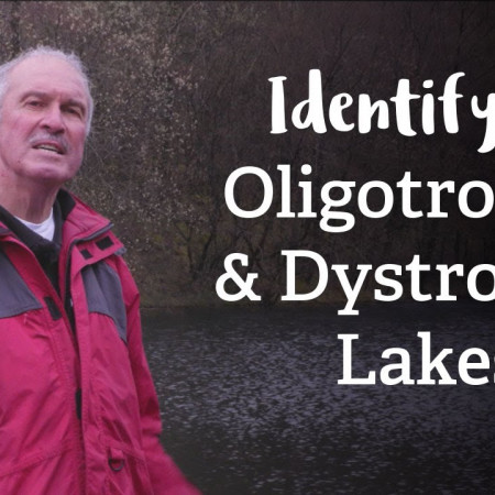 Oligotrophic and Dystrophic Lakes | Habitat Mapping Project | Nature Recovery Network