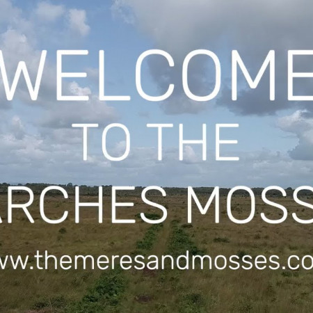 Welcome to the Marches Mosses