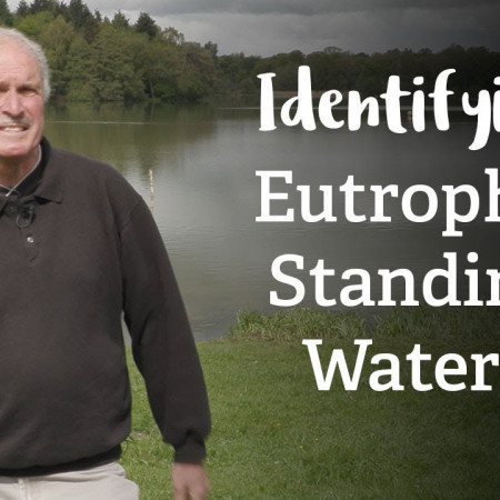 Eutrophic Standing Waters | Habitat Mapping Project | Nature Recovery Network
