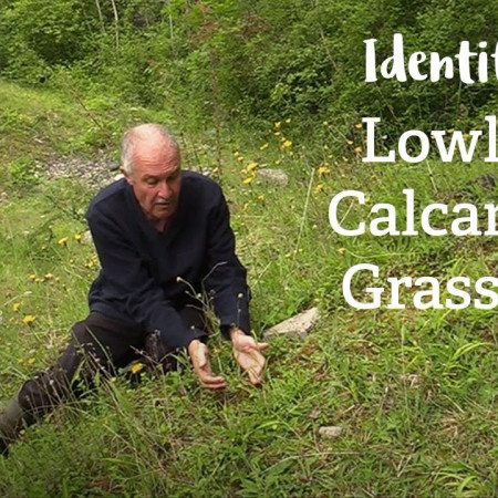 Lowland Calcareous Grassland | Habitat Mapping Project | Nature Recovery Network