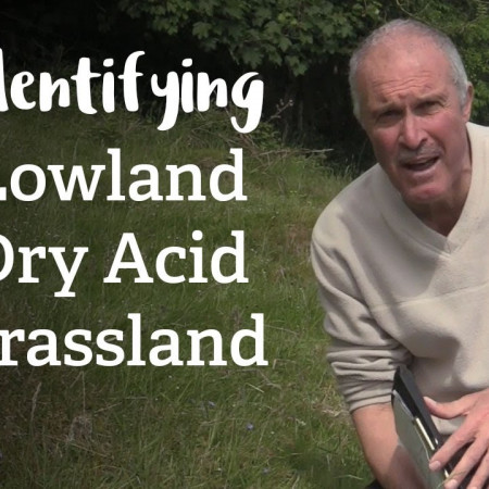 Lowland Dry Acid Grassland | Habitat Mapping Project | Nature Recovery Network