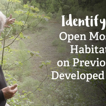 Open Mosaic Habitats on Previously Developed Land, Habitat Mapping Project | Nature Recovery Network