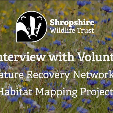 Let's Get Mapping! An Interview with Volunteers | Nature Recovery Networks | Habitat Mapping Project