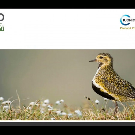 The Peatland Code - Dr Renee Kerkvliet Hermans | Shropshire Wildlife Trust