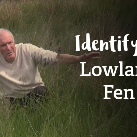 Lowland Fen | Habitat Mapping Project | Nature Recovery Network