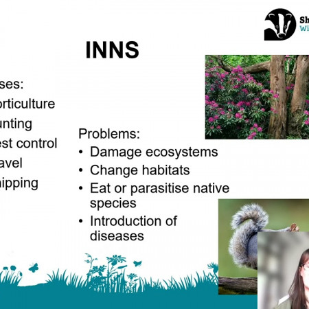 Shropshire Invasive Non-native Species Initiative